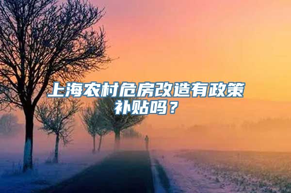 上海农村危房改造有政策补贴吗？