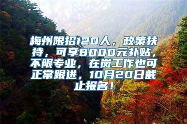 梅州限招120人，政策扶持，可享8000元补贴，不限专业，在岗工作也可正常跟进，10月20日截止报名！