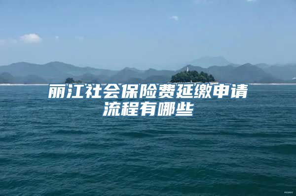 丽江社会保险费延缴申请流程有哪些