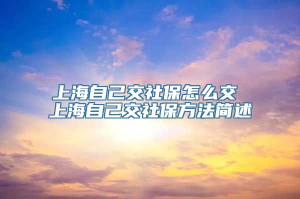 上海自己交社保怎么交 上海自己交社保方法简述