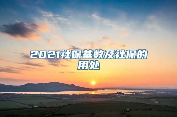 2021社保基数及社保的用处