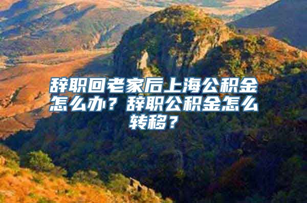 辞职回老家后上海公积金怎么办？辞职公积金怎么转移？