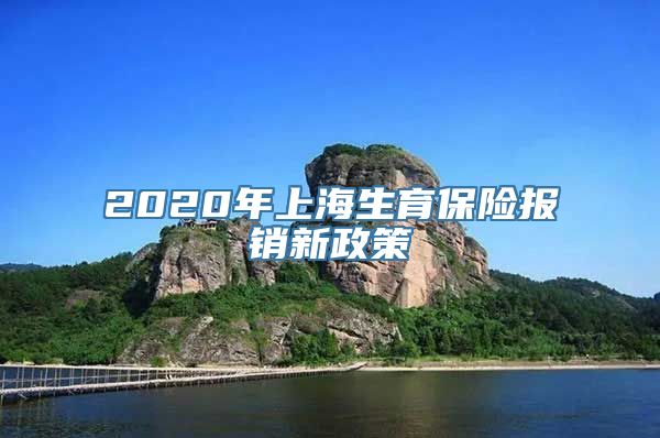 2020年上海生育保险报销新政策