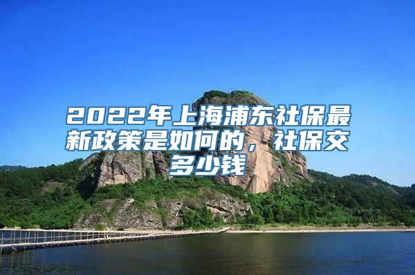 2022年上海浦东社保最新政策是如何的，社保交多少钱