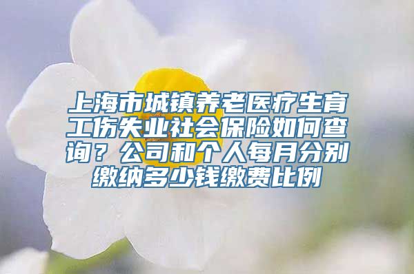 上海市城镇养老医疗生育工伤失业社会保险如何查询？公司和个人每月分别缴纳多少钱缴费比例