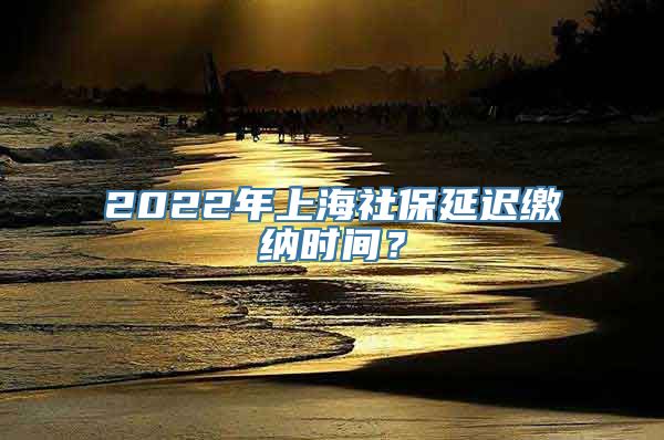 2022年上海社保延迟缴纳时间？