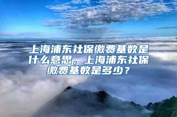 上海浦东社保缴费基数是什么意思，上海浦东社保缴费基数是多少？