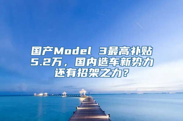 国产Model 3最高补贴5.2万，国内造车新势力还有招架之力？