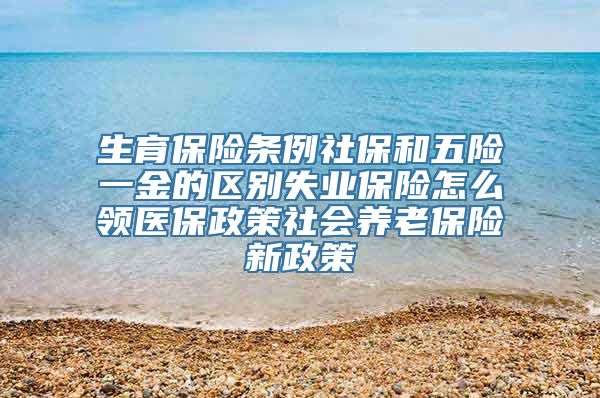 生育保险条例社保和五险一金的区别失业保险怎么领医保政策社会养老保险新政策