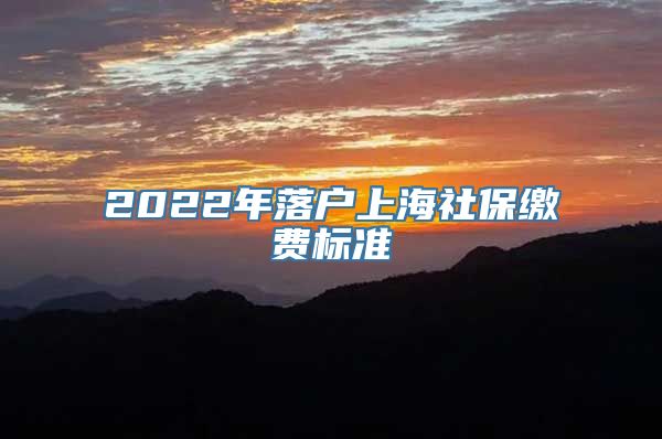 2022年落户上海社保缴费标准