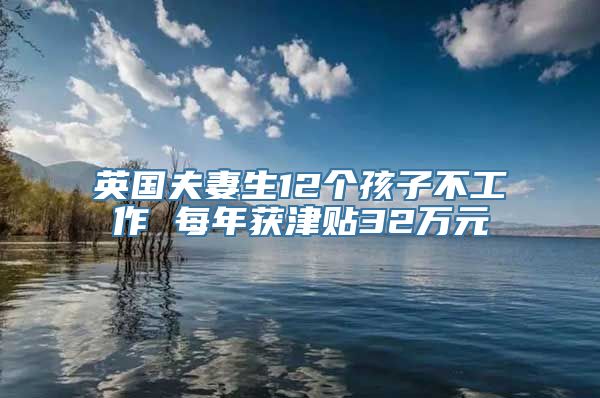 英国夫妻生12个孩子不工作 每年获津贴32万元