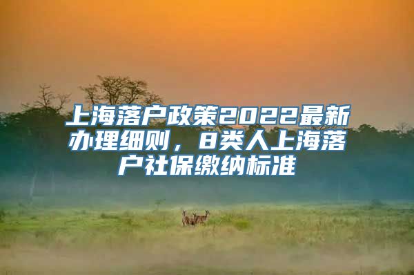 上海落户政策2022最新办理细则，8类人上海落户社保缴纳标准