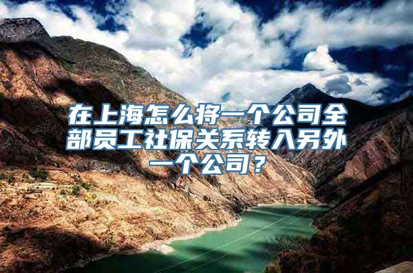 在上海怎么将一个公司全部员工社保关系转入另外一个公司？