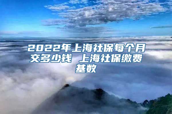 2022年上海社保每个月交多少钱 上海社保缴费基数