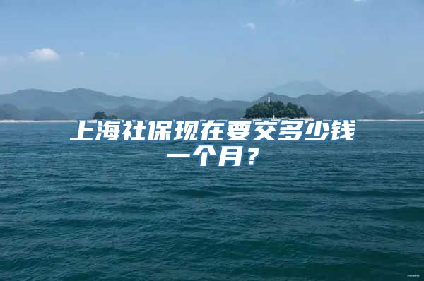 上海社保现在要交多少钱一个月？