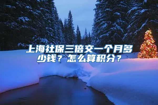 上海社保三倍交一个月多少钱？怎么算积分？