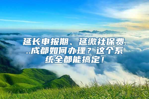 延长申报期、延缴社保费...成都如何办理？这个系统全都能搞定！