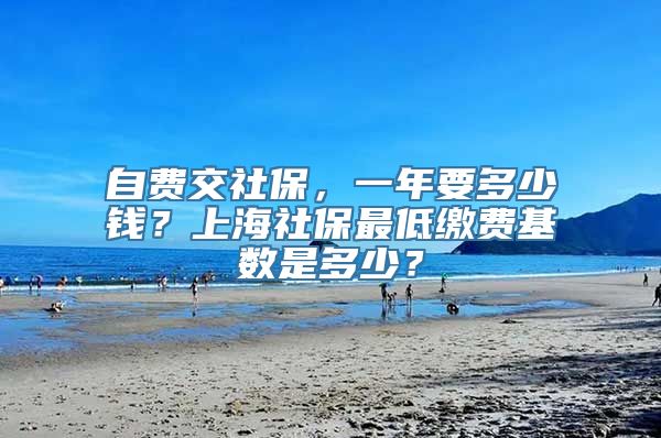 自费交社保，一年要多少钱？上海社保最低缴费基数是多少？