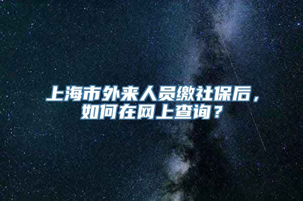 上海市外来人员缴社保后，如何在网上查询？