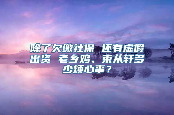 除了欠缴社保 还有虚假出资 老乡鸡、束从轩多少烦心事？