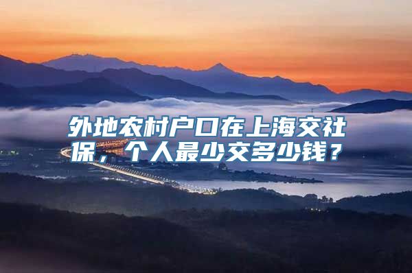 外地农村户口在上海交社保，个人最少交多少钱？