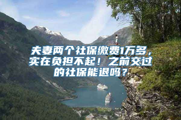 夫妻两个社保缴费1万多，实在负担不起！之前交过的社保能退吗？