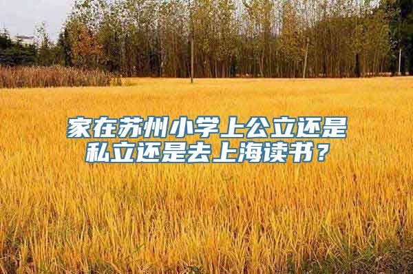 家在苏州小学上公立还是私立还是去上海读书？