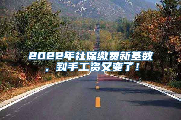 2022年社保缴费新基数，到手工资又变了！