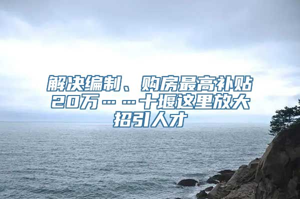 解决编制、购房最高补贴20万……十堰这里放大招引人才