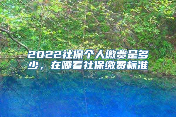 2022社保个人缴费是多少，在哪看社保缴费标准