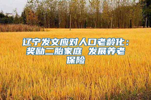 辽宁发文应对人口老龄化：奖励二胎家庭 发展养老保险