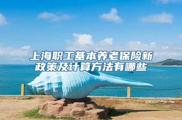 上海职工基本养老保险新政策及计算方法有哪些