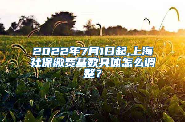 2022年7月1日起,上海社保缴费基数具体怎么调整？