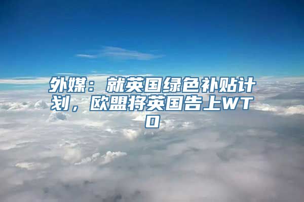 外媒：就英国绿色补贴计划，欧盟将英国告上WTO