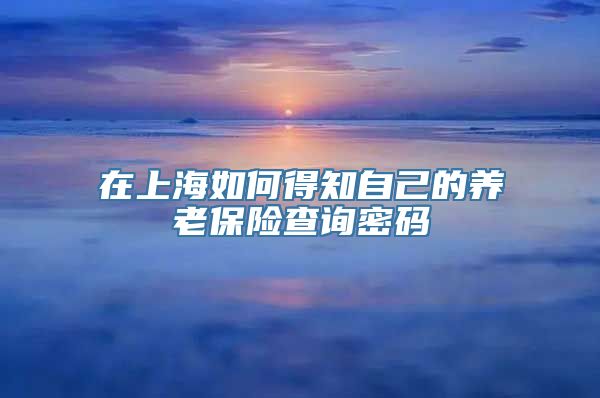 在上海如何得知自己的养老保险查询密码