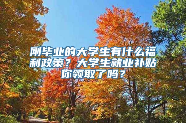 刚毕业的大学生有什么福利政策？大学生就业补贴你领取了吗？