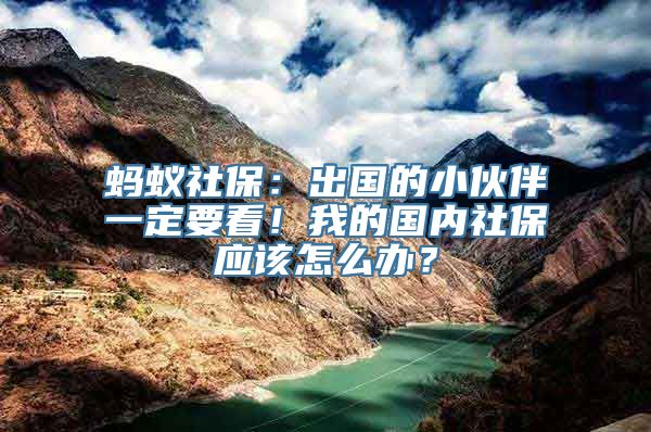 蚂蚁社保：出国的小伙伴一定要看！我的国内社保应该怎么办？