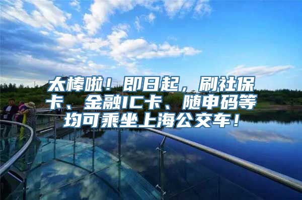 太棒啦！即日起，刷社保卡、金融IC卡、随申码等均可乘坐上海公交车！