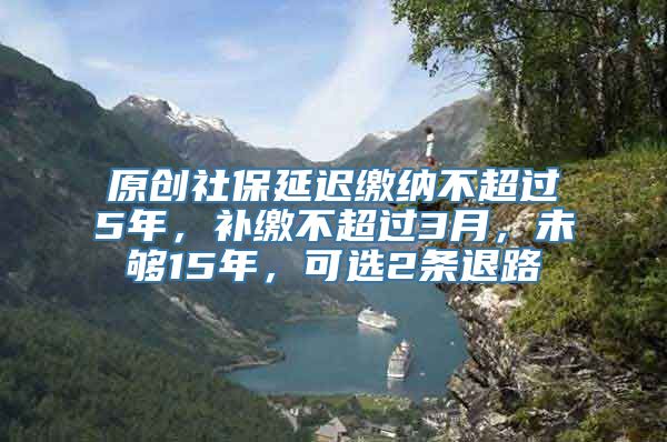 原创社保延迟缴纳不超过5年，补缴不超过3月，未够15年，可选2条退路