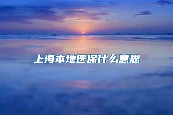 上海本地医保什么意思