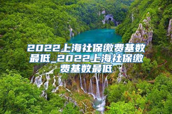 2022上海社保缴费基数最低_2022上海社保缴费基数最低