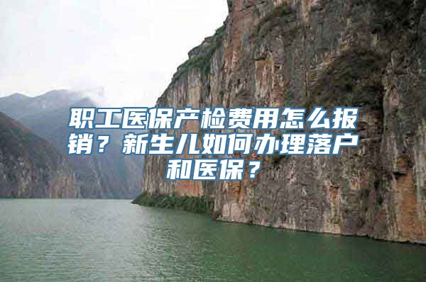 职工医保产检费用怎么报销？新生儿如何办理落户和医保？