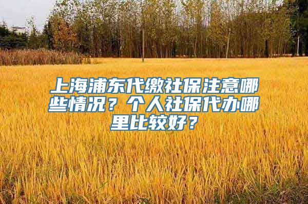 上海浦东代缴社保注意哪些情况？个人社保代办哪里比较好？