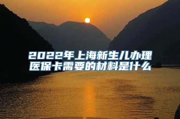 2022年上海新生儿办理医保卡需要的材料是什么