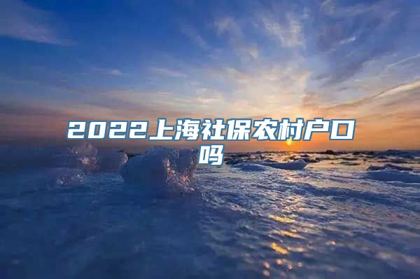 2022上海社保农村户口吗