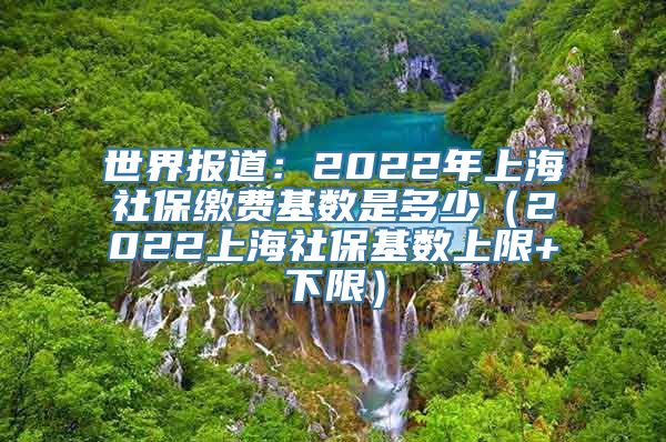 世界报道：2022年上海社保缴费基数是多少（2022上海社保基数上限+下限）