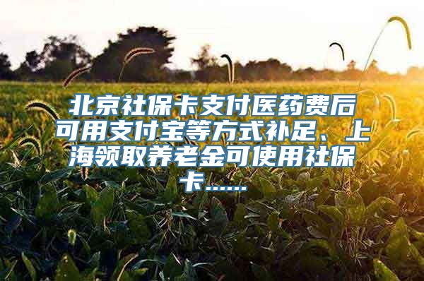 北京社保卡支付医药费后可用支付宝等方式补足、上海领取养老金可使用社保卡......