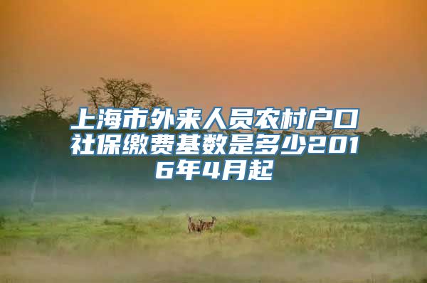 上海市外来人员农村户口社保缴费基数是多少2016年4月起