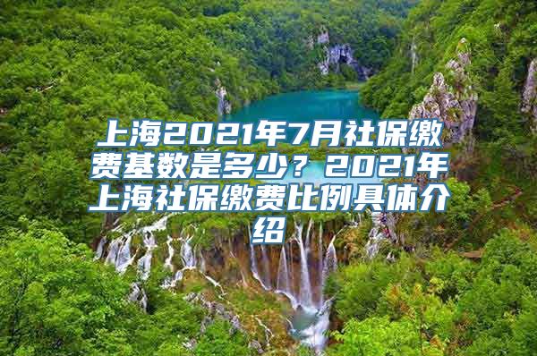 上海2021年7月社保缴费基数是多少？2021年上海社保缴费比例具体介绍