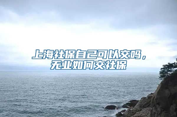 上海社保自己可以交吗，无业如何交社保